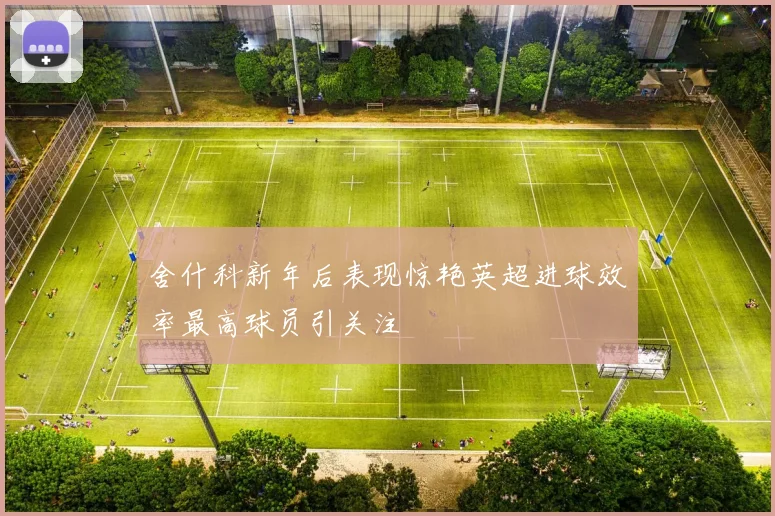 舍什科新年后表现惊艳英超进球效率最高球员引关注